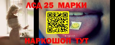 амф Боровичи